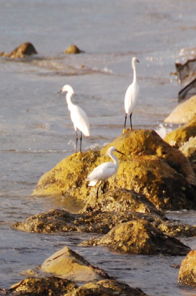DSC_0540.JPG - Redfish Pass