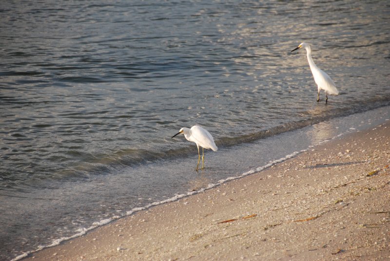 DSC_0570.JPG - Redfish Pass