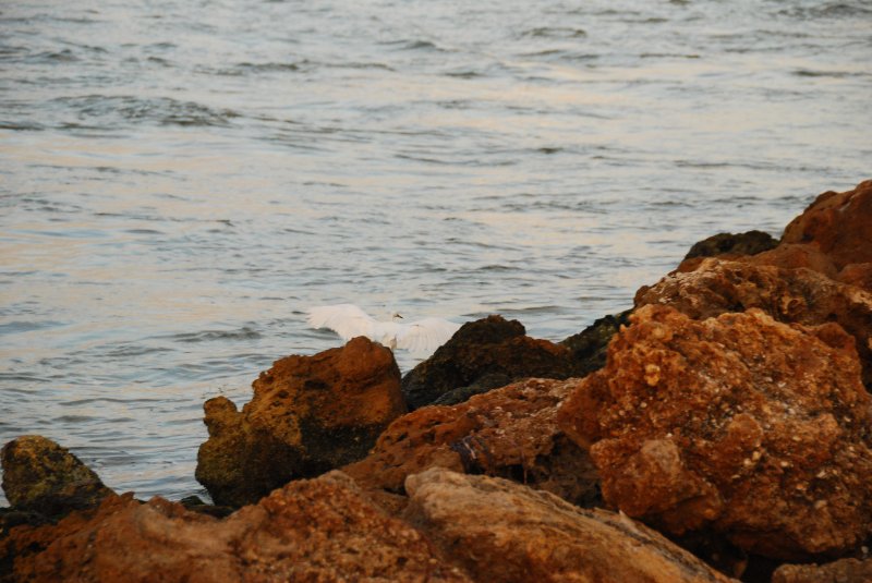 DSC_0664.JPG - Redfish Pass