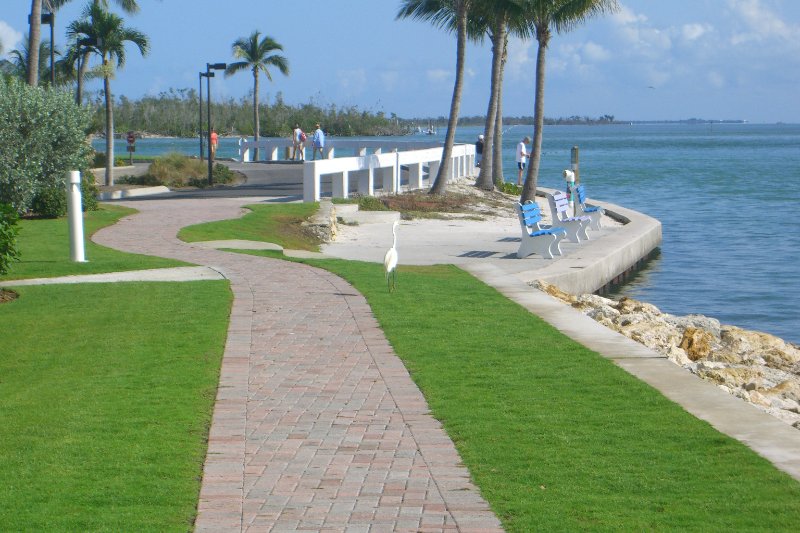 CIMG8337.JPG - Redfish Pass - Great Blue Heron