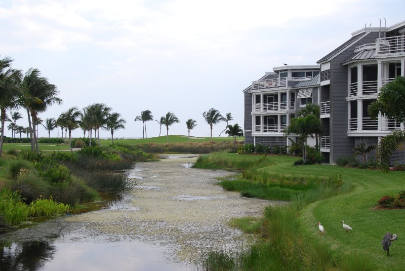 DSC_0122.JPG - Birds around Lands End and Redfish Pass