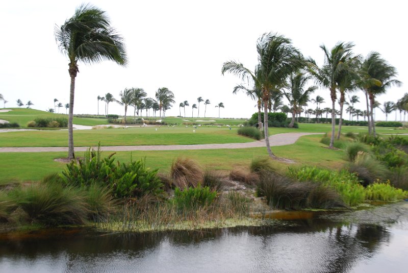 DSC_0124.JPG - Birds around Lands End and Redfish Pass