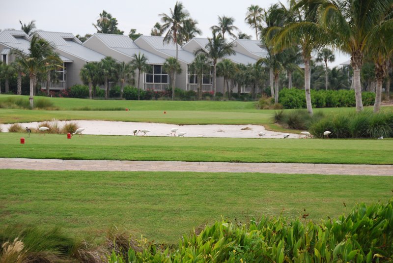 DSC_0144.JPG - Lands End - Near Shoeprint Pool