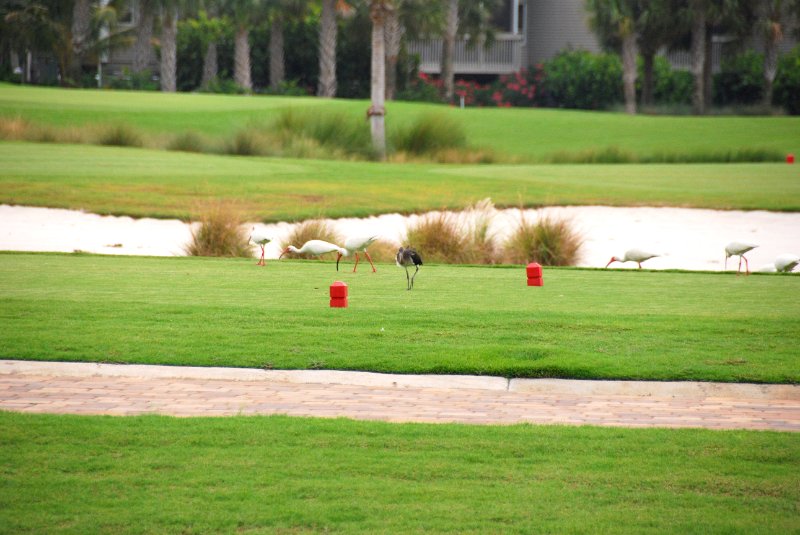 DSC_0145.JPG - Lands End - Near Shoeprint Pool