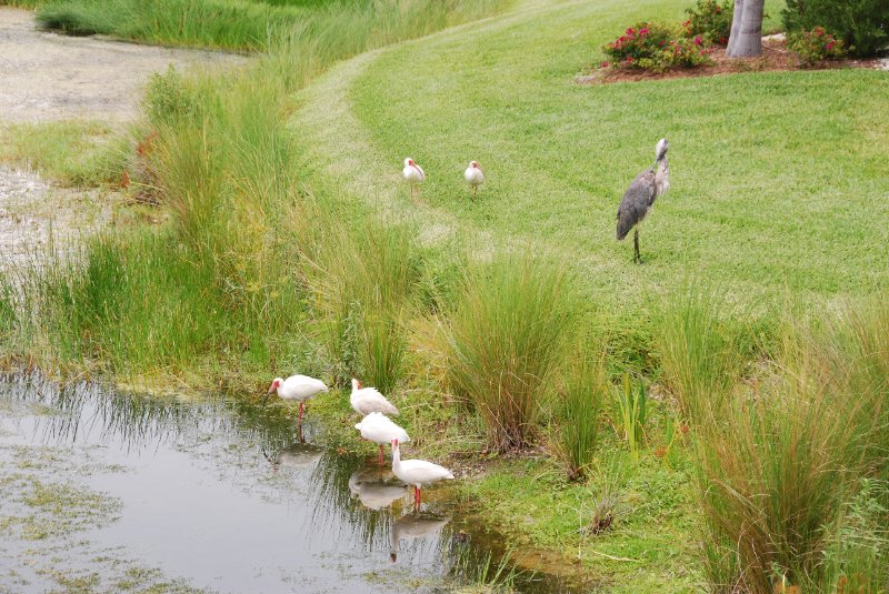 DSC_0155.JPG - Lands End - Near Shoeprint Pool