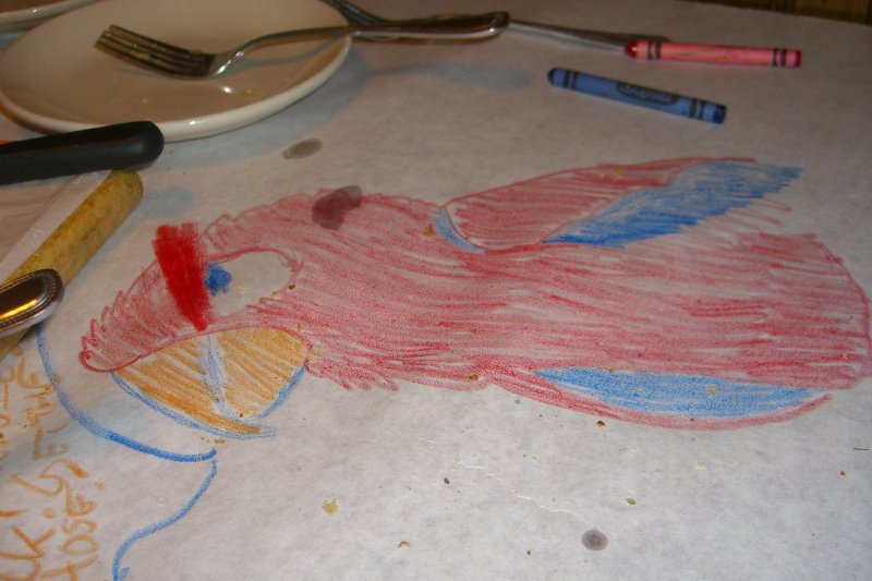 CIMG8317.JPG - Parrot Drawn at Matzaluna