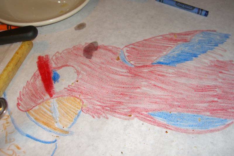 CIMG8318.JPG - Parrot Drawn at Matzaluna