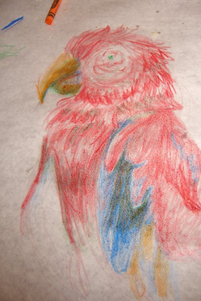 CIMG8320.JPG - Parrot Drawn at Matzaluna