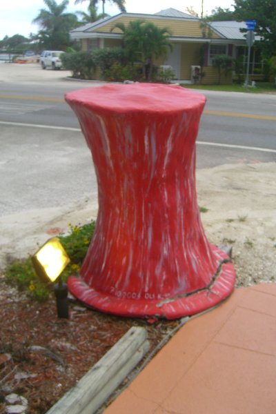 CIMG8349.JPG - Mad Hatter, Sanibel