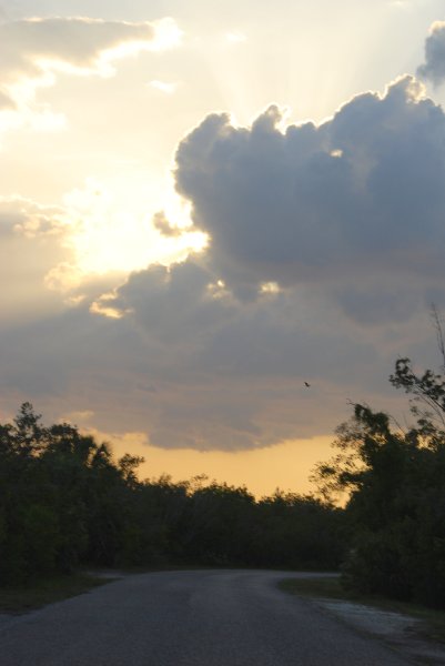 DSC_0703.JPG - Ding Darling