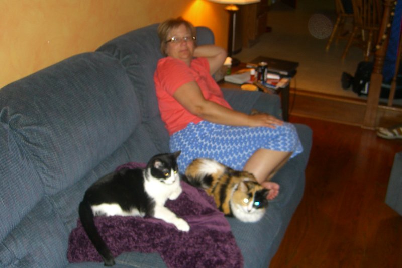 CIMG8464.JPG - Kitties Celebrating Cathie's Birthday