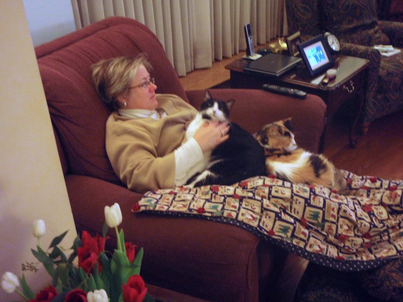 P3210023_edited-1.jpg - OLYMPUS DIGITAL CAMERA