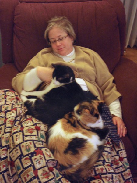 P3210025_edited-1.jpg - OLYMPUS DIGITAL CAMERA