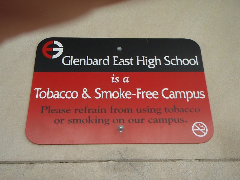 P4190471.JPG - Dupage Valley Gymnastics Conference Final Meet, Glenbard East High School, 4/19/08