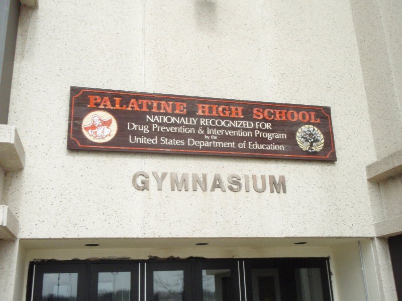 P3080008.JPG - Foerch Invitational Gymnastics Meet, Hosted by Palatine High School