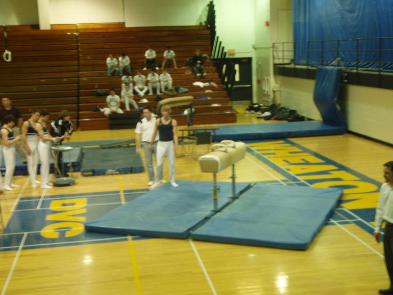 P3100006.JPG - Wheaton North Gymnastics Meet - 3/10/08