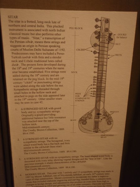 P2160109.JPG - Sitar