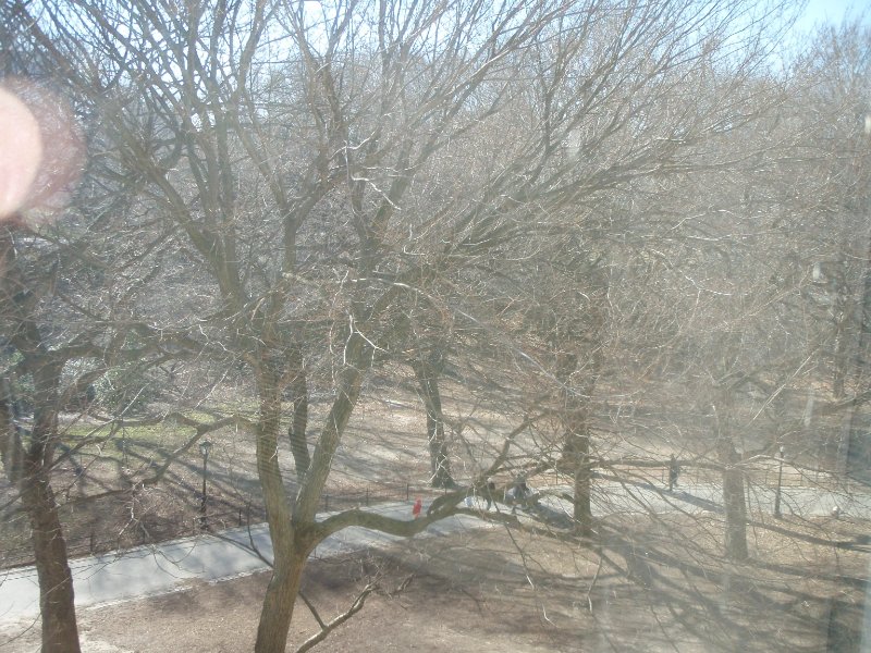 P2160154.JPG - The Metropolitan Museum of Art