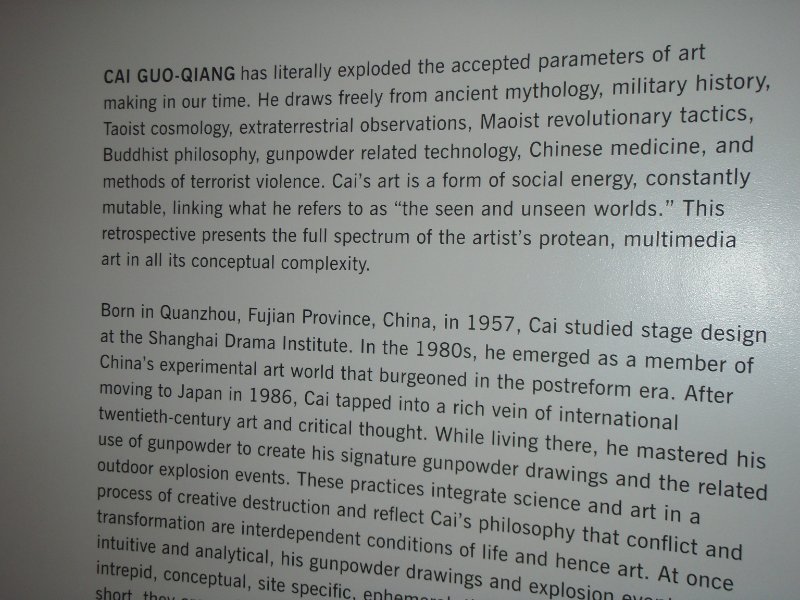 P2170238.JPG - Guggenheim Museum-Cai Guo-Qiang exhibit
