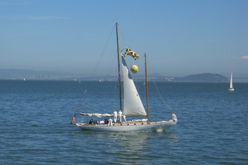 CIMG6581.JPG - Sausalito Marina Area