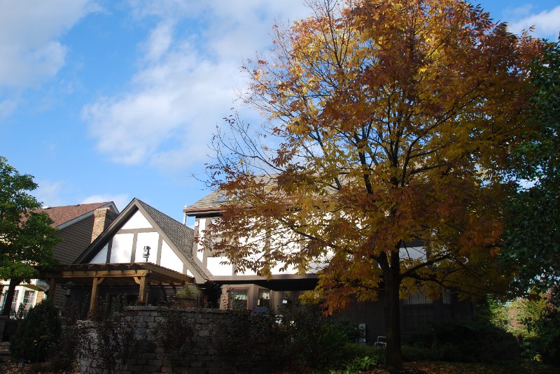 DSC_1486.JPG - JACK KOZIK