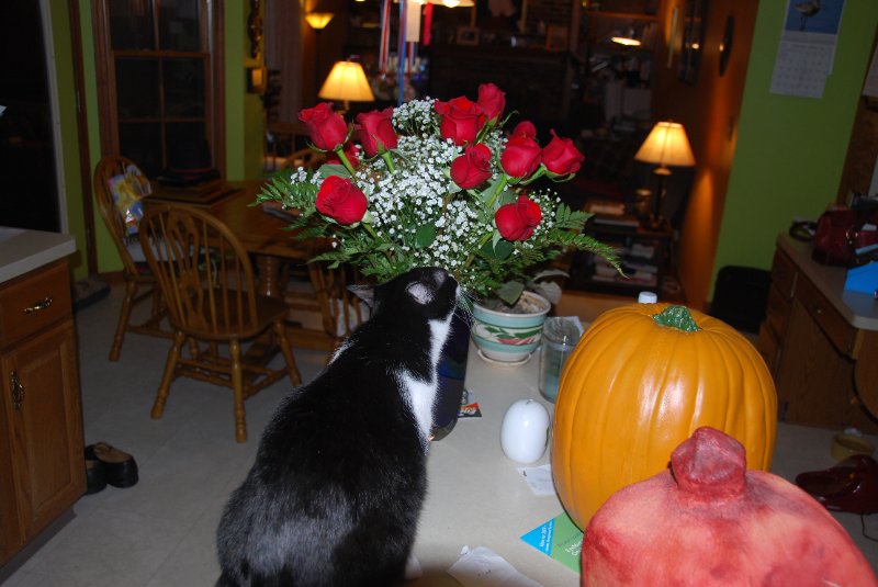 DSC_1494.JPG - Influential Women in Business 2008 Award