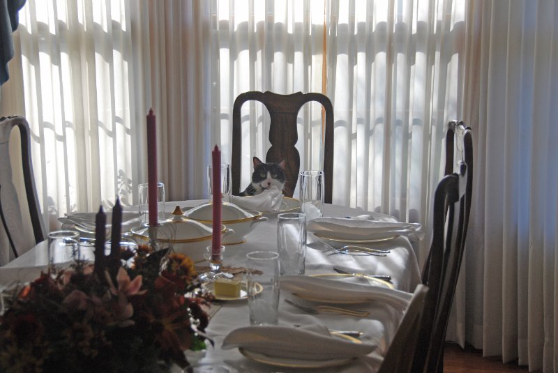 DSC_1568_edited-1.jpg - Thanksgiving 2008