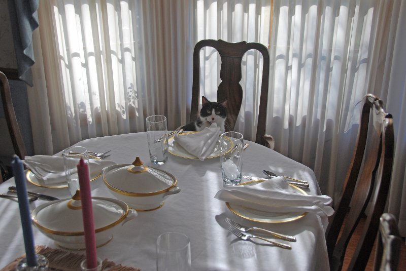 DSC_1569_edited-1.jpg - Thanksgiving 2008