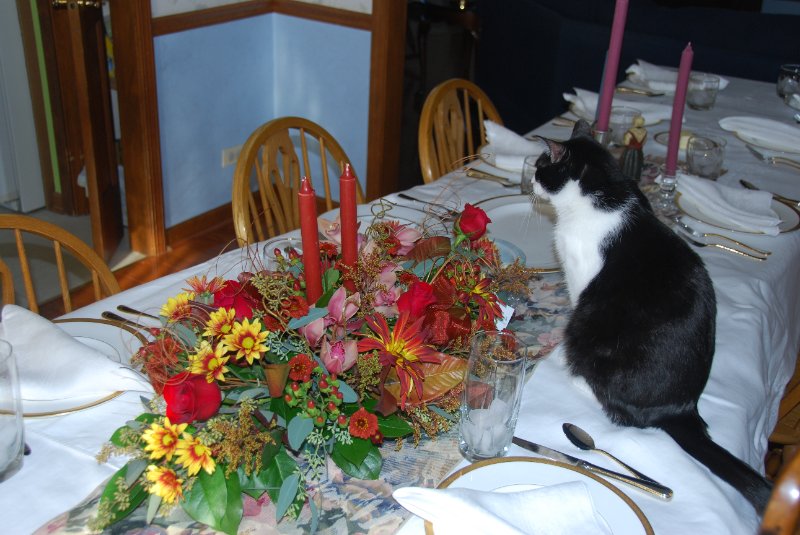 DSC_1571.JPG - Thanksgiving 2008