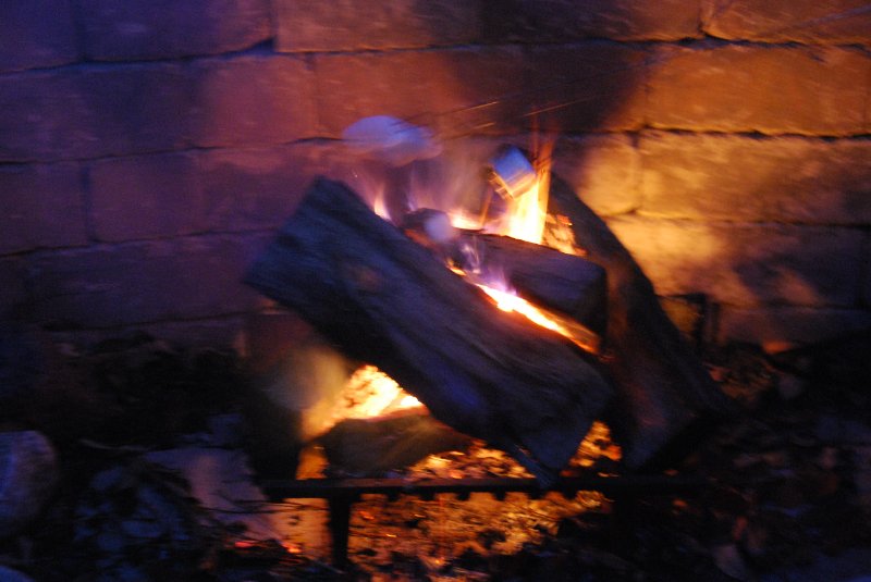 DSC_1593.JPG - Thanksgiving 2008