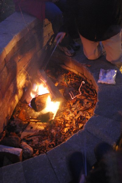 DSC_1605.JPG - Thanksgiving 2008
