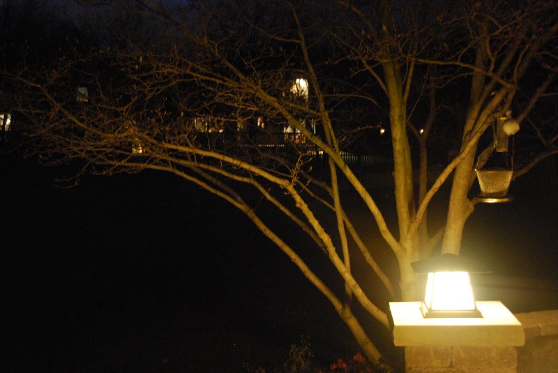 DSC_1618.JPG - Thanksgiving 2008