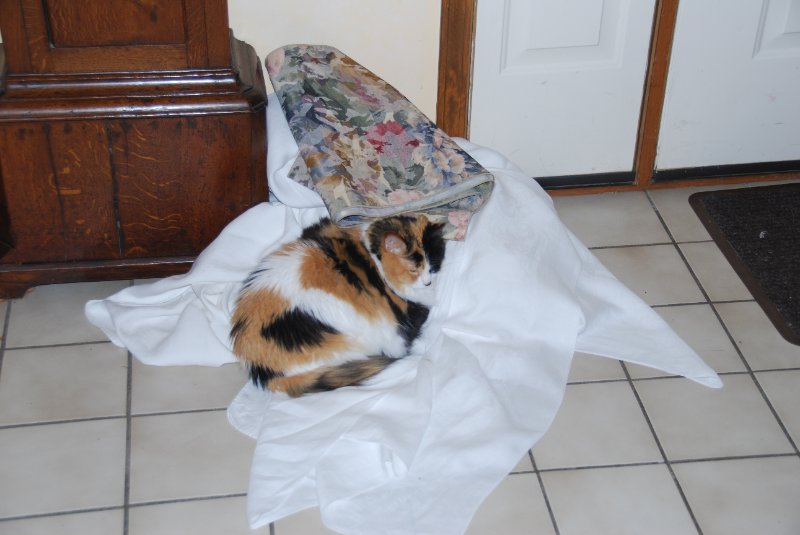 DSC_1629.JPG - JACK KOZIK