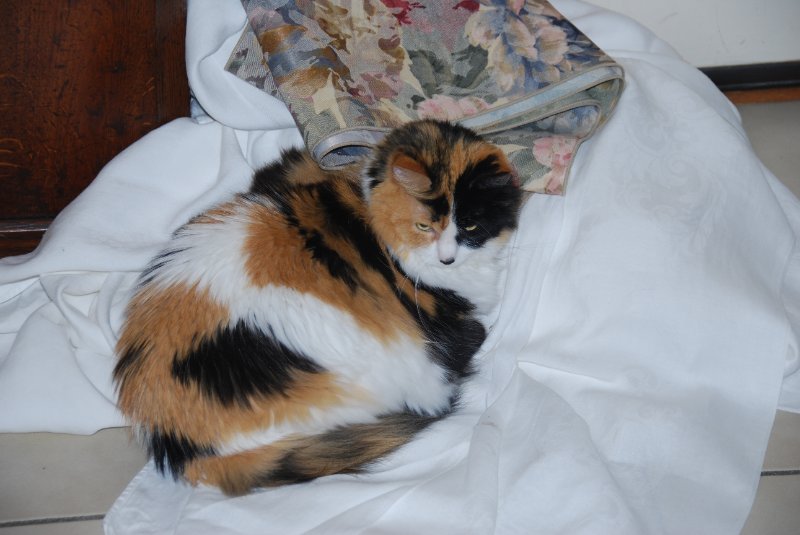 DSC_1630.JPG - JACK KOZIK