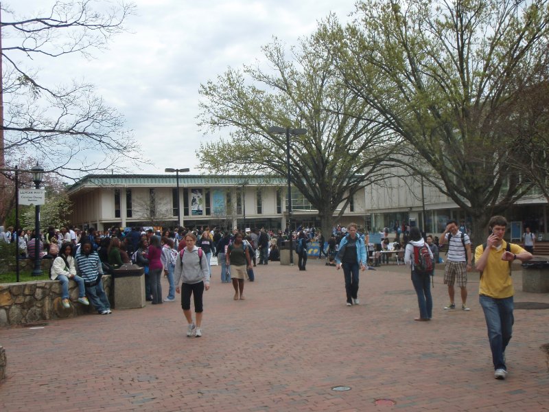 P4020069.JPG - The Pit