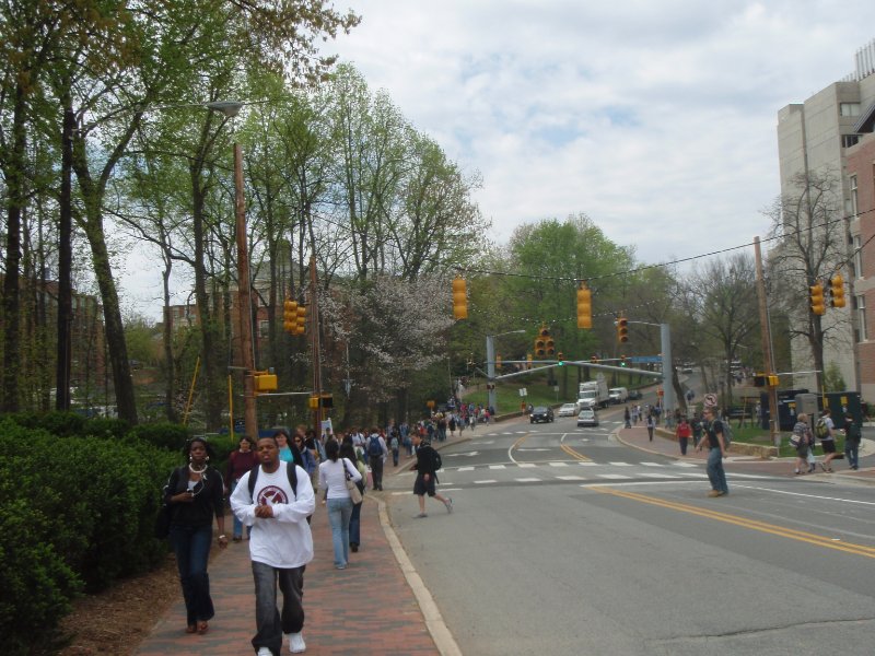 P4020076.JPG - South Road, looking West