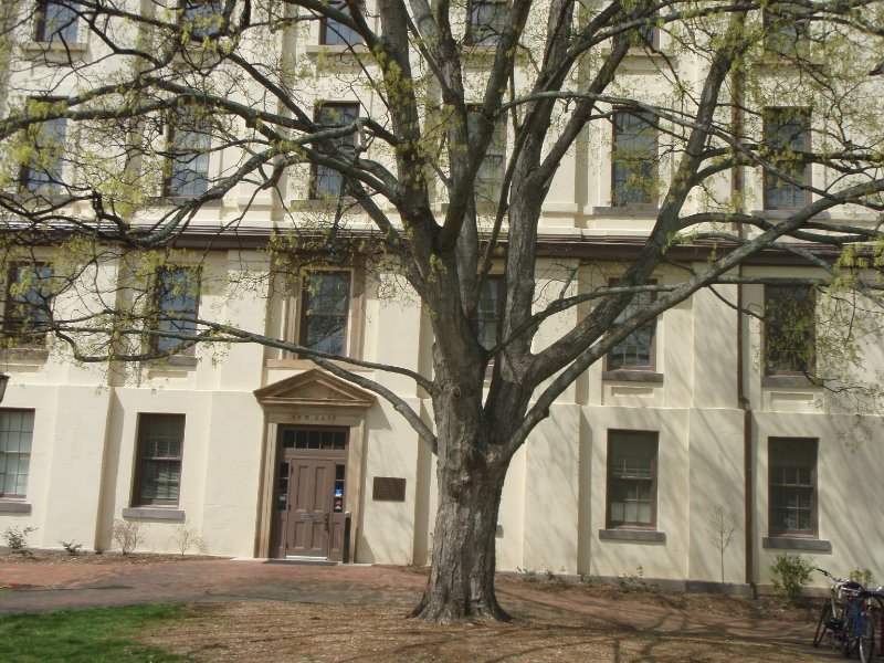 P4020092.JPG - New East