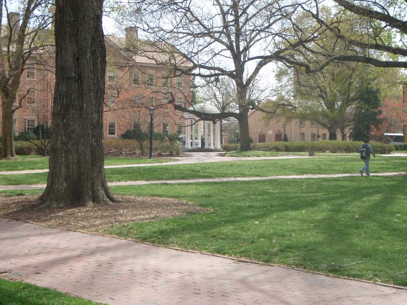 P4020095.JPG - Old Well with South (left) and Gerrard (right) other side of Cameron Avenue