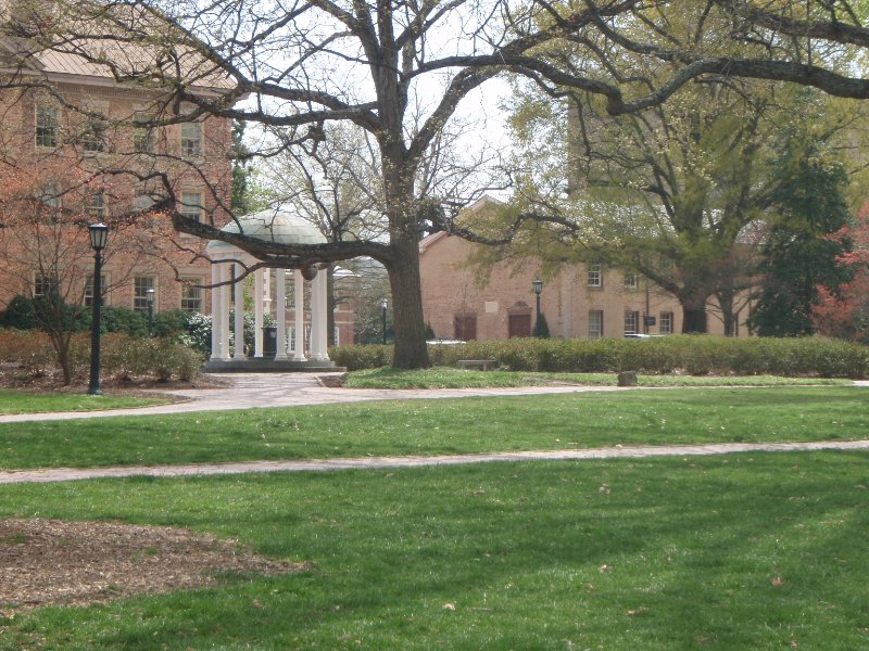 P4020096.JPG - Old Well with South (left) and Gerrard (right) other side of Cameron Avenue