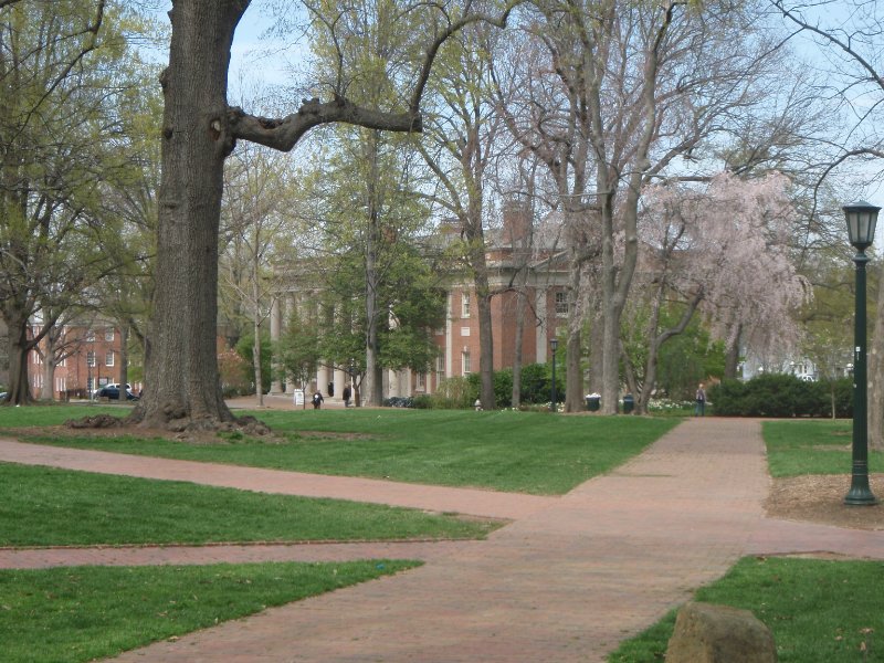 P4020108.JPG - The Davie Poplar (left) in McCorkle Place, Morehead Planetarium (center)