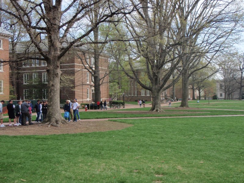P4020130.JPG - Polk Place, looking South Steele, Saunders, and Murphy (furthest) buildings