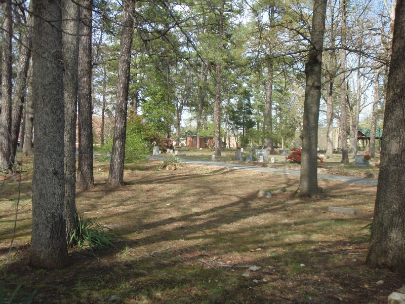 P4020152.JPG - Section A of Old Chapel Hill Cemetery, standing on South Road looking North East