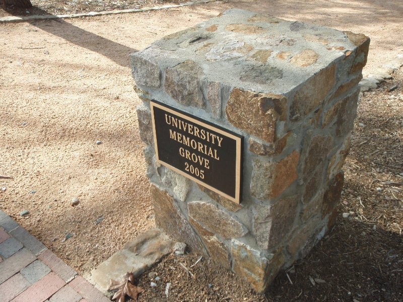 P4020161.JPG - University Memorial Grove 2005 at South Road and Country Club Rd