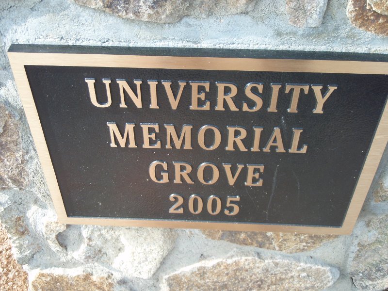 P4020162.JPG - University Memorial Grove 2005 at South Road and Country Club Rd