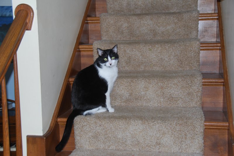 DSC_2095.JPG - Christmas Morning