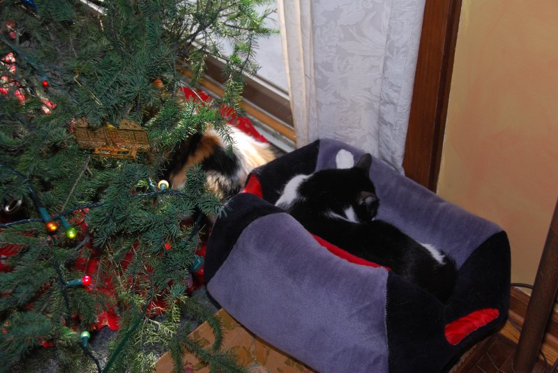 DSC_2127.JPG - JACK KOZIK