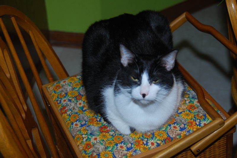 DSC_2137.JPG - Christmas Morning