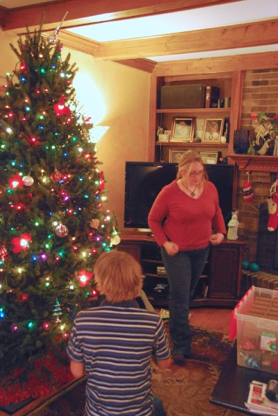 DSC_1900_edited-1.jpg - Decorating the Christmas Tree