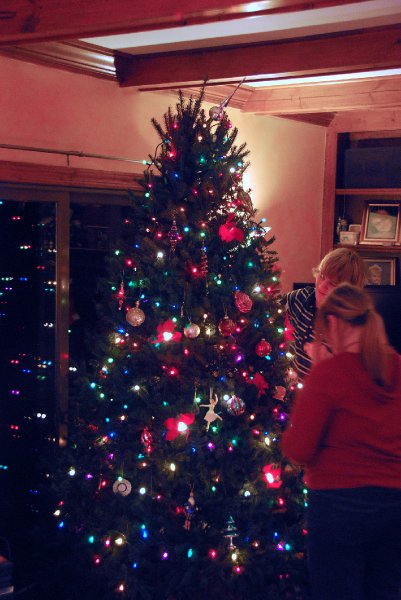 DSC_1905_edited-1.jpg - Decorating the Christmas Tree