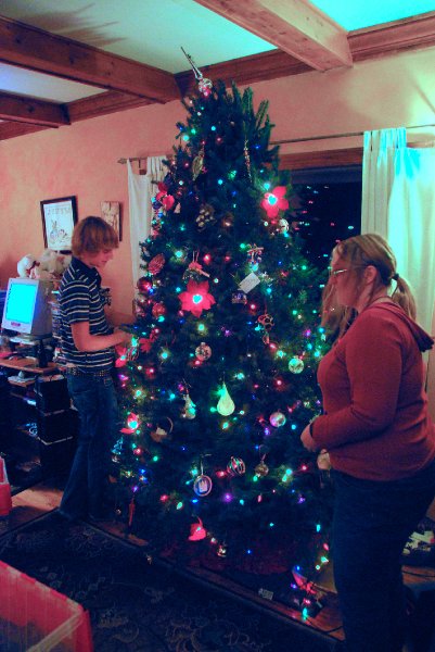 DSC_1906_edited-1.jpg - Decorating the Christmas Tree